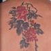 Tattoos - Brush Painted Red Roses Healed Three Years - 58098